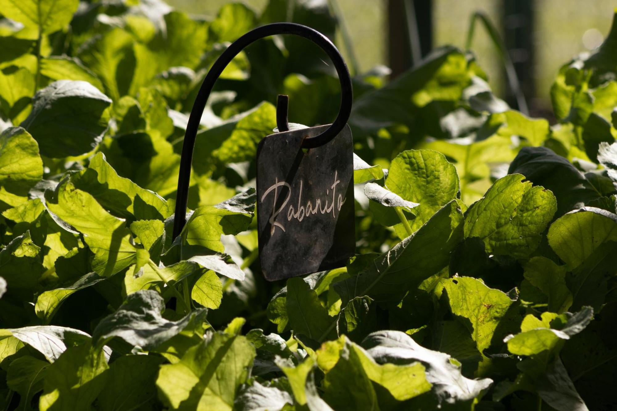 El Colibri - Relais & Chateaux Santa Catalina  Exterior photo